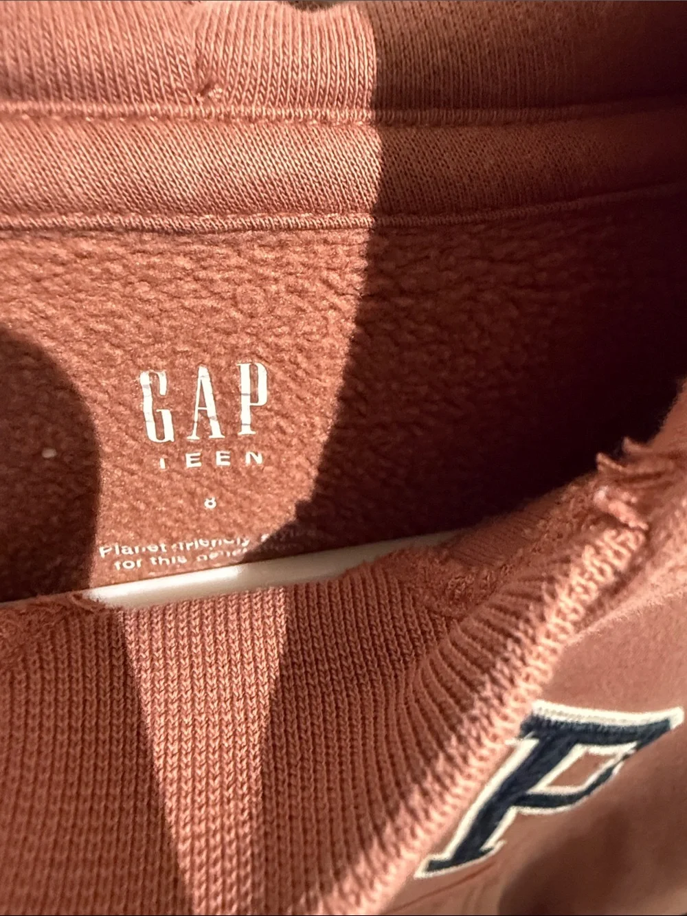 GAP Kids (Sz 8)Hoodie in Rose Brown